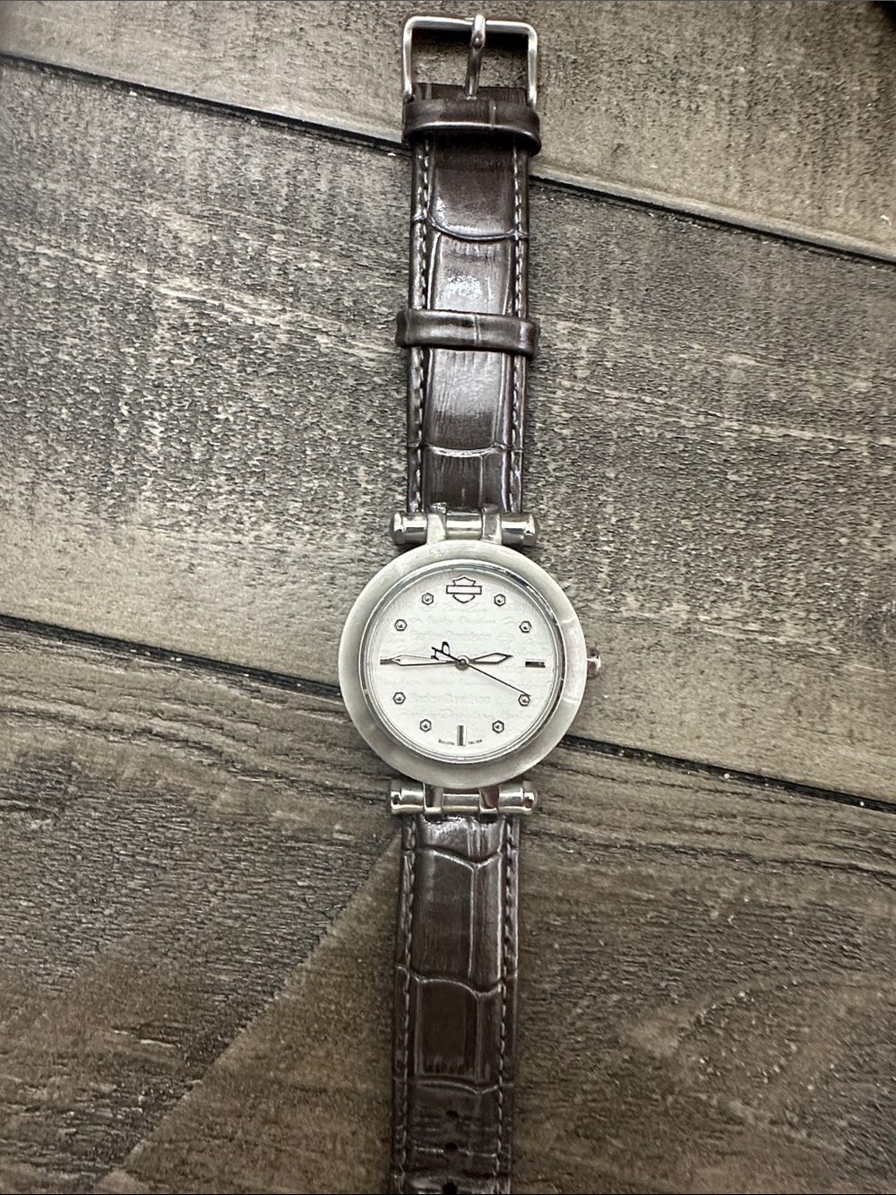 Harley-Davidson Silver Dial Watch with Brown Leather Strap